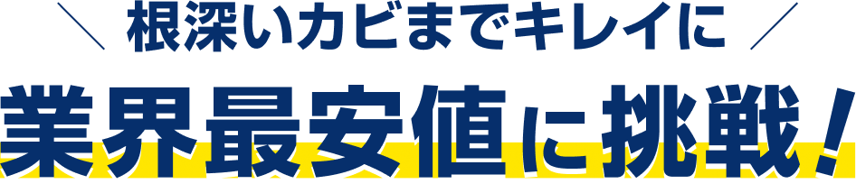 根深いカビまでキレイに 業界最安値に挑戦!